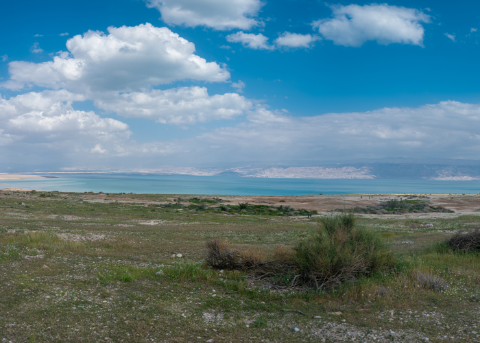 Read more about the article לשורשי הדברים בסוגיית ארץ ישראל.